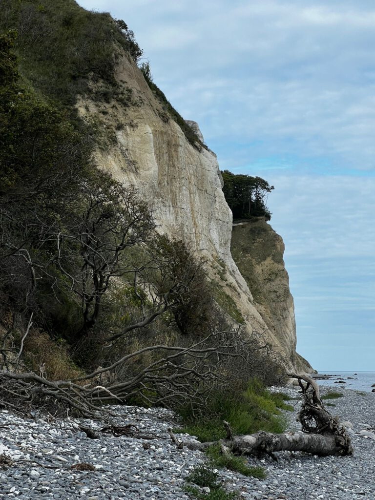 Kreidefelsen Møns Klint